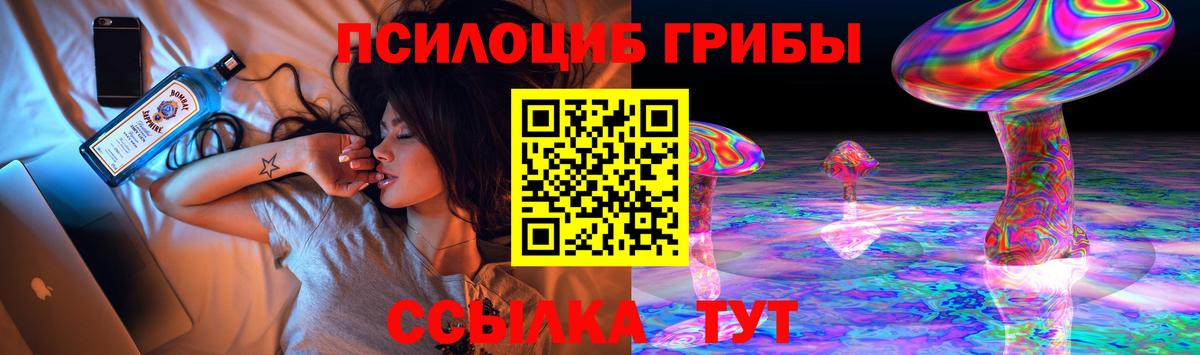 Владивосток  Галлюциногенные грибы Magic Shrooms  закладка  Вход с VPN 